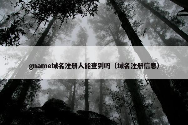 gname域名注册人能查到吗（域名注册信息）