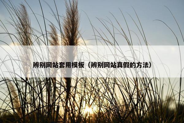 辨别网站套用模板（辨别网站真假的方法）