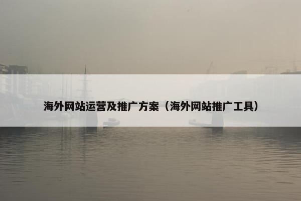 海外网站运营及推广方案（海外网站推广工具）