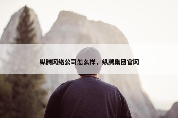 纵腾网络公司怎么样，纵腾集团官网