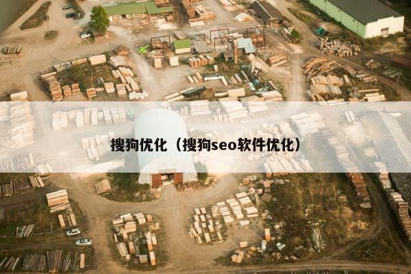 搜狗优化（搜狗seo软件优化）