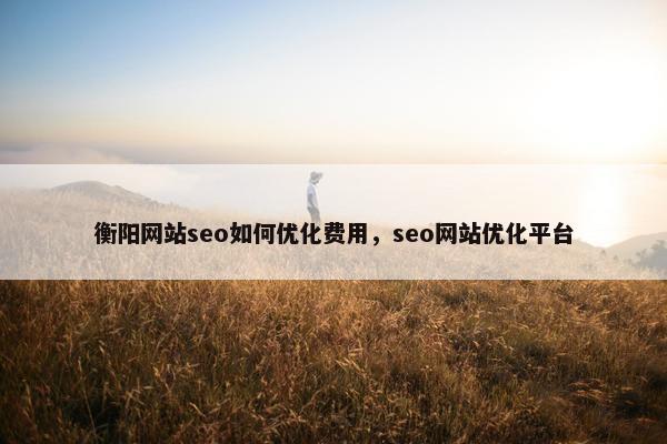 衡阳网站seo如何优化费用，seo网站优化平台