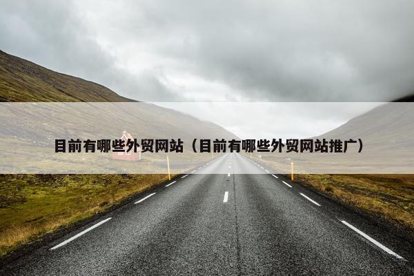 目前有哪些外贸网站（目前有哪些外贸网站推广）