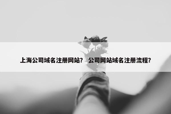 上海公司域名注册网站？ 公司网站域名注册流程？