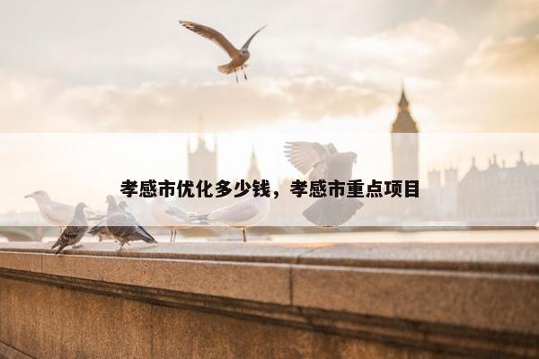 孝感市优化多少钱，孝感市重点项目