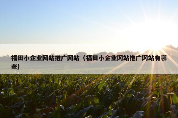 福田小企业网站推广网站（福田小企业网站推广网站有哪些）