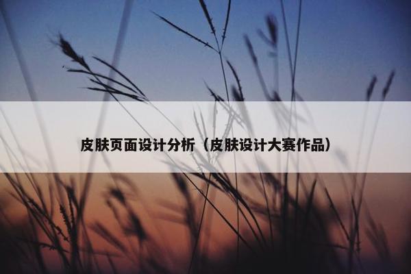 皮肤页面设计分析（皮肤设计大赛作品）