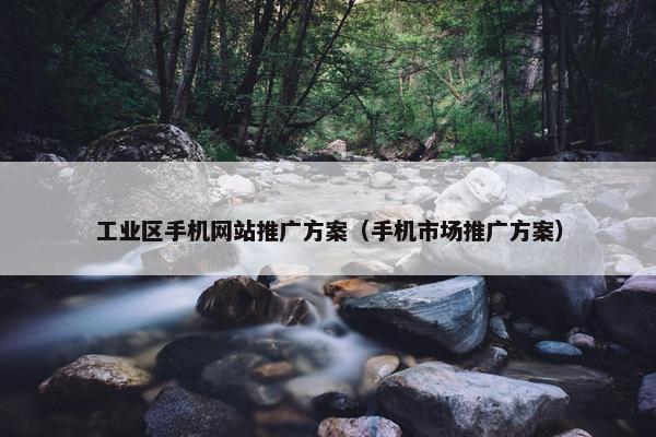 工业区手机网站推广方案（手机市场推广方案）