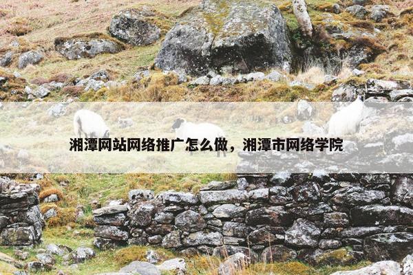 湘潭网站网络推广怎么做，湘潭市网络学院