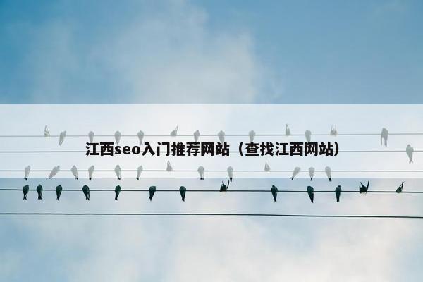 江西seo入门推荐网站（查找江西网站）