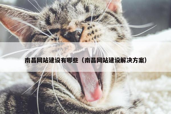 南昌网站建设有哪些（南昌网站建设解决方案）