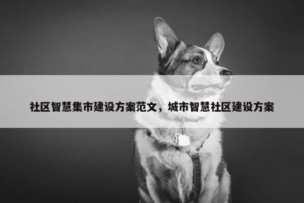 社区智慧集市建设方案范文，城市智慧社区建设方案