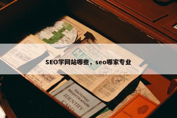 SEO学网站哪些，seo哪家专业