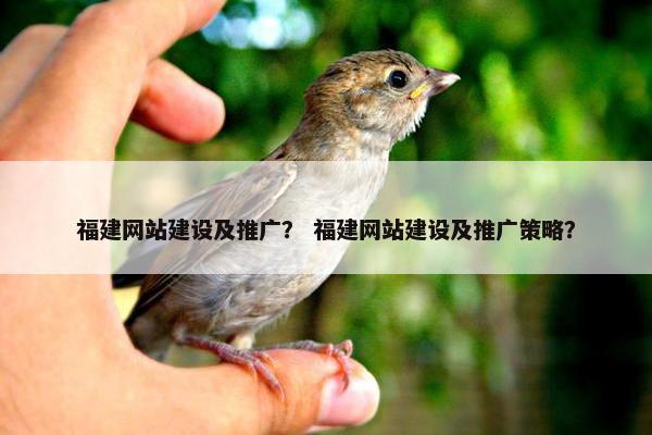 福建网站建设及推广？ 福建网站建设及推广策略？