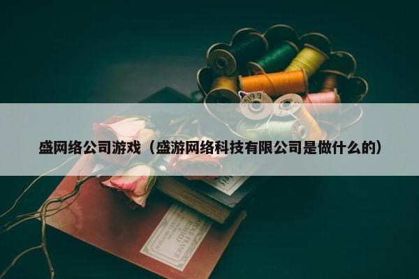 盛网络公司游戏（盛游网络科技有限公司是做什么的）