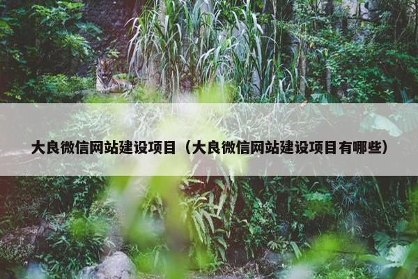大良微信网站建设项目（大良微信网站建设项目有哪些）