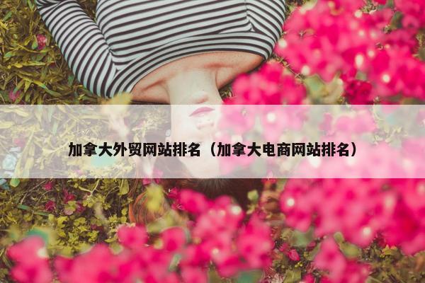 加拿大外贸网站排名（加拿大电商网站排名）