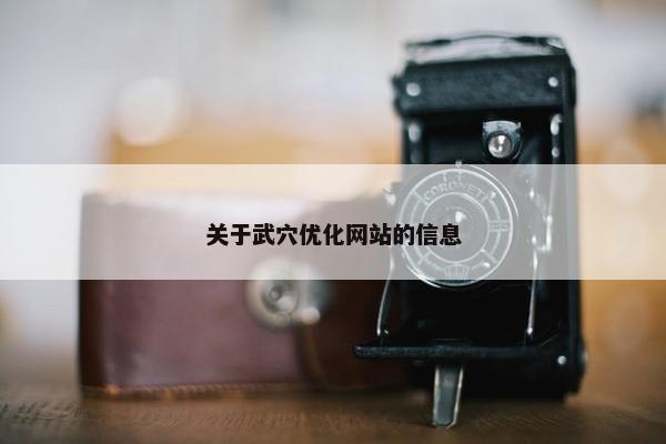 关于武穴优化网站的信息