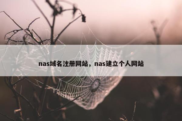 nas域名注册网站，nas建立个人网站