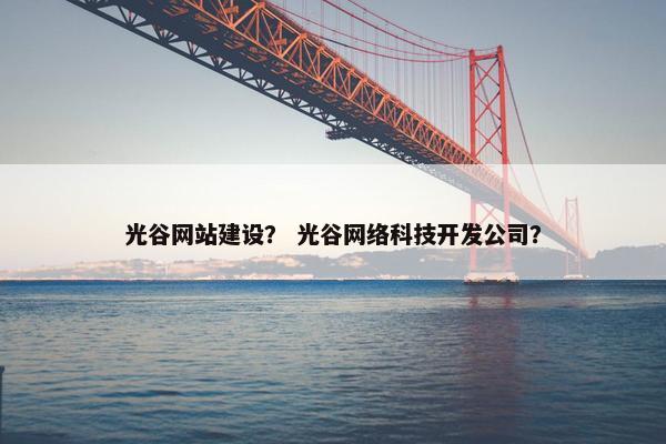 光谷网站建设？ 光谷网络科技开发公司？