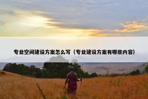专业空间建设方案怎么写（专业建设方案有哪些内容）