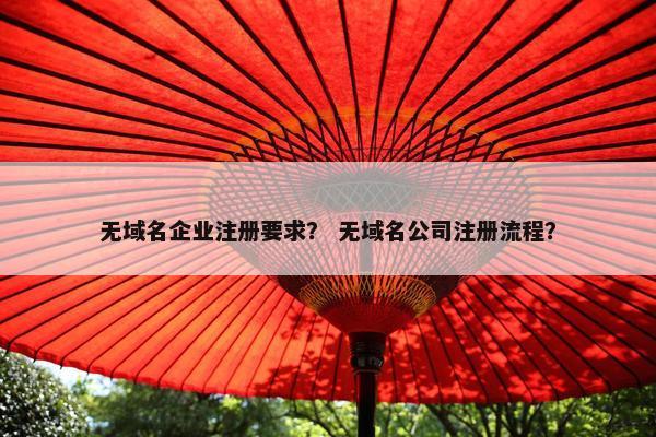无域名企业注册要求？ 无域名公司注册流程？