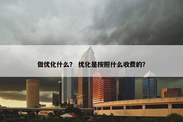 做优化什么？ 优化是按照什么收费的？