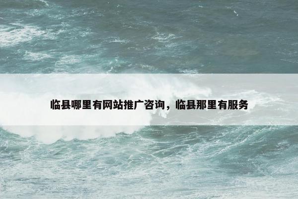 临县哪里有网站推广咨询，临县那里有服务