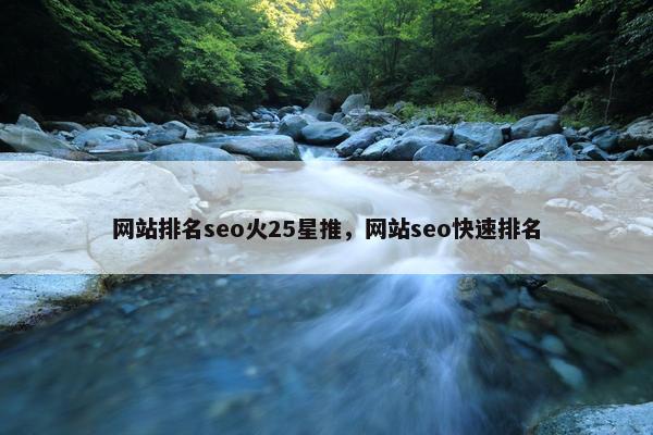 网站排名seo火25星推，网站seo快速排名