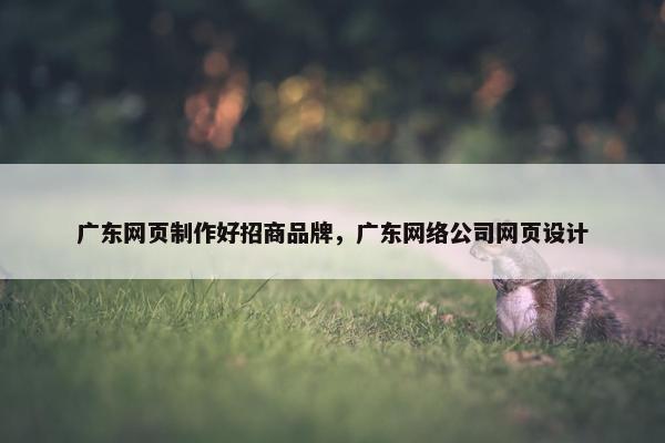 广东网页制作好招商品牌，广东网络公司网页设计
