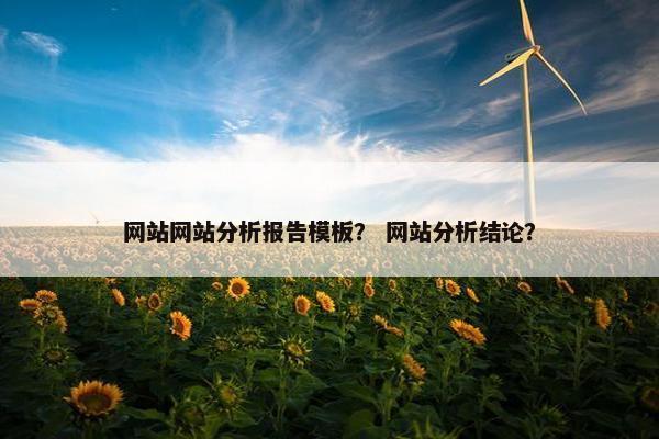 网站网站分析报告模板？ 网站分析结论？