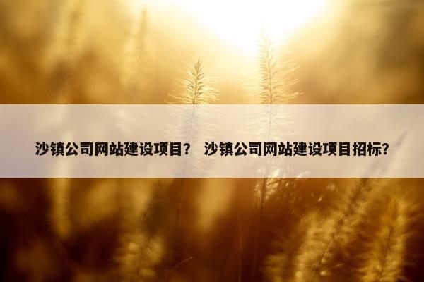 沙镇公司网站建设项目？ 沙镇公司网站建设项目招标？