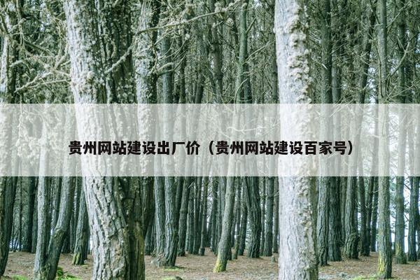 贵州网站建设出厂价（贵州网站建设百家号）