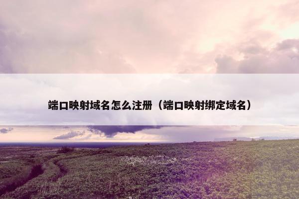 端口映射域名怎么注册（端口映射绑定域名）
