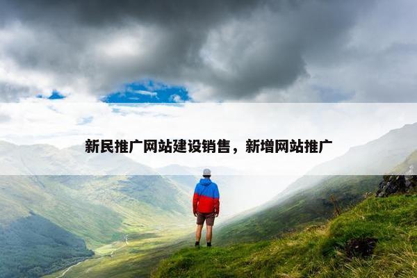 新民推广网站建设销售，新增网站推广