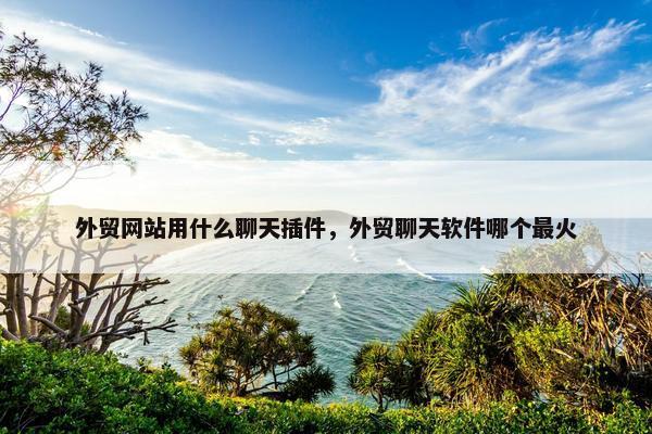 外贸网站用什么聊天插件，外贸聊天软件哪个最火