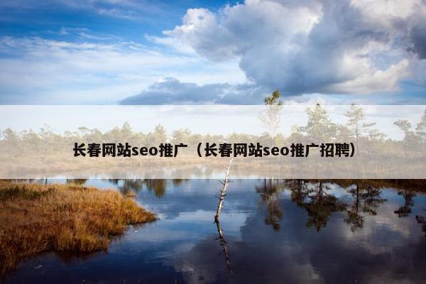 长春网站seo推广（长春网站seo推广招聘）