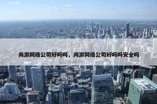 尚游网络公司好吗吗，尚游网络公司好吗吗安全吗