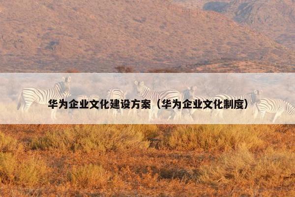 华为企业文化建设方案（华为企业文化制度）