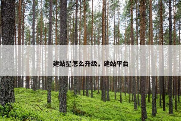 建站星怎么升级，建站平台