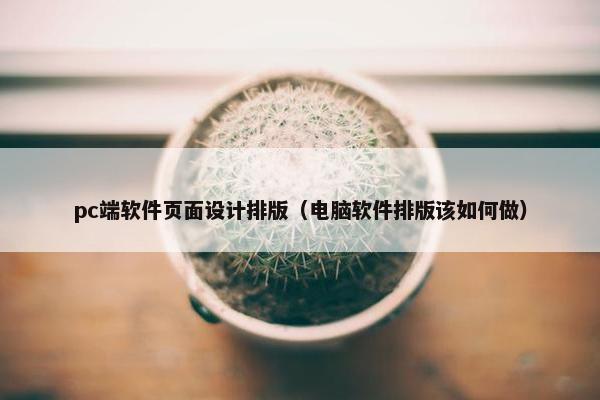 pc端软件页面设计排版（电脑软件排版该如何做）