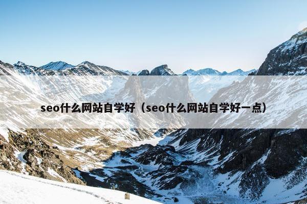 seo什么网站自学好（seo什么网站自学好一点）