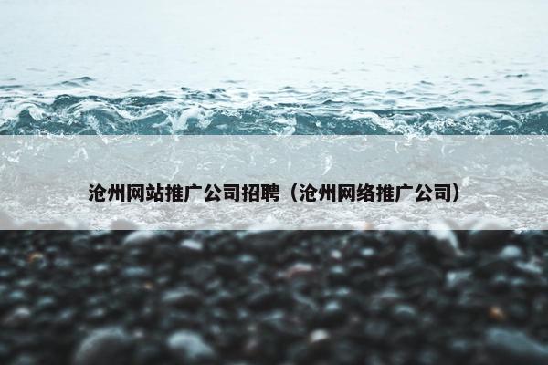 沧州网站推广公司招聘（沧州网络推广公司）