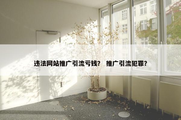 违法网站推广引流亏钱？ 推广引流犯罪？