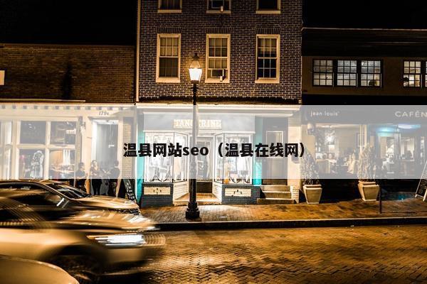 温县网站seo（温县在线网）