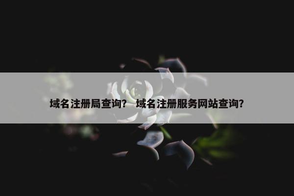 域名注册局查询？ 域名注册服务网站查询？