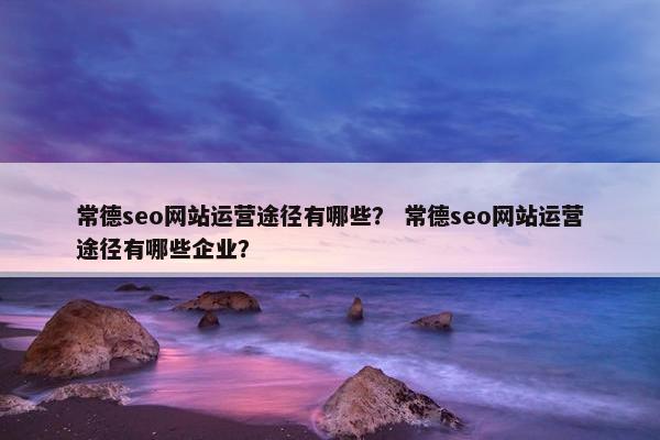 常德seo网站运营途径有哪些？ 常德seo网站运营途径有哪些企业？