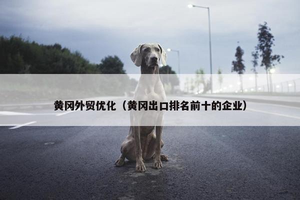 黄冈外贸优化（黄冈出口排名前十的企业）