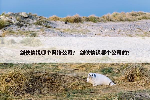 剑侠情缘哪个网络公司？ 剑侠情缘哪个公司的？