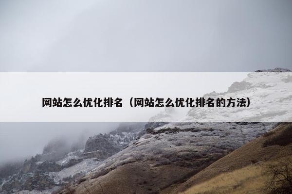 网站怎么优化排名（网站怎么优化排名的方法）